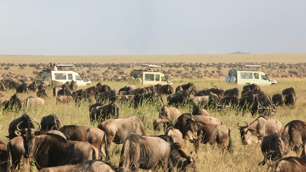 7 Day Luxury African Safari 7 Day Luxury African Safari